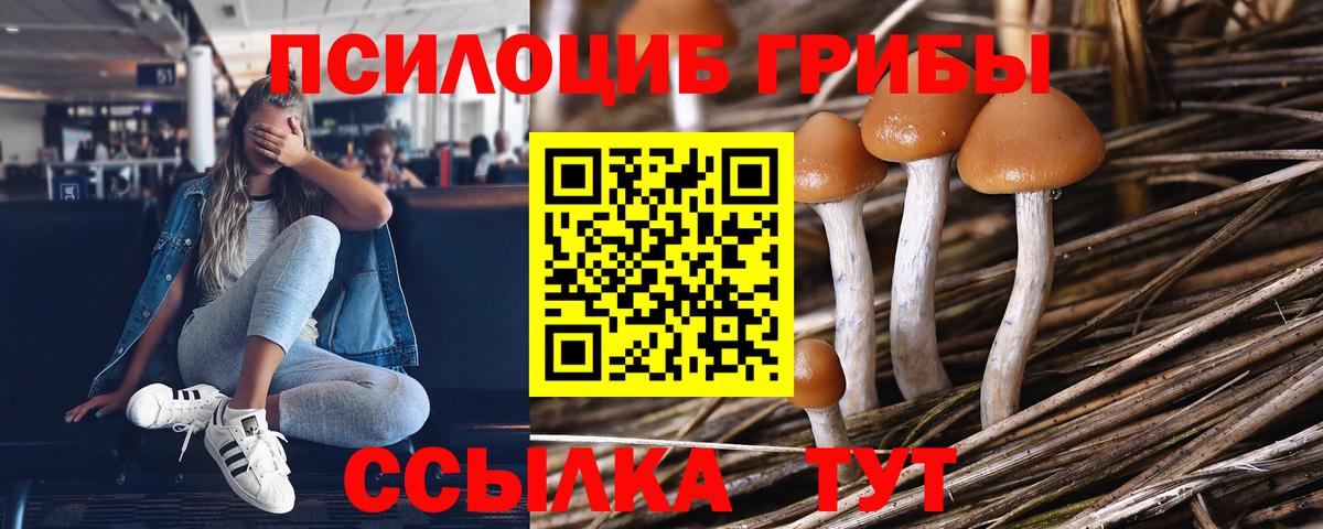 Галлюциногенные грибы ЛСД  где купить наркотик  Надым  Вход с VPN 